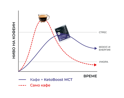 KetoBoost органично MCT масло на прах - кутия 10 x 16гр.